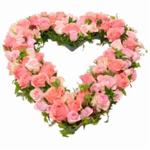 Heart chancre